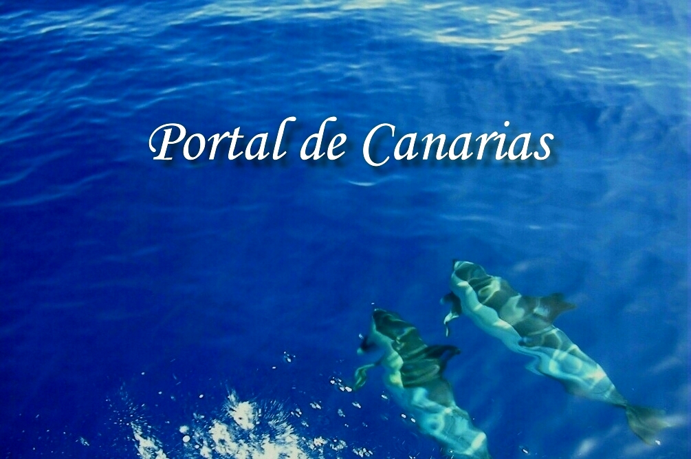 zum Portal de Canarias -  Kanaren Reise-Portal